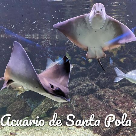 Best Holiday Santa Pola Bagian luar foto