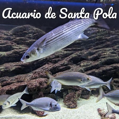 Best Holiday Santa Pola Bagian luar foto